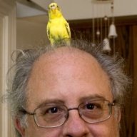 Joel Finkel