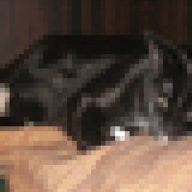 CCAATbox