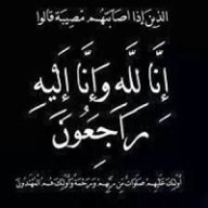 Mahmoud Elfooly