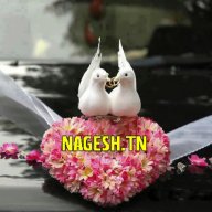 nagesha kumar