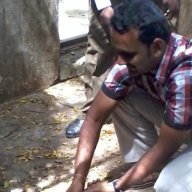 vet saravanan