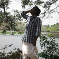 Independant Parthi
