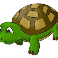 TortugaOnline