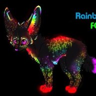 Skyaura Rainbow Fox