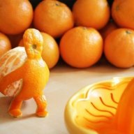 Orangejuicizzle