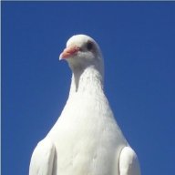 XploRa1
