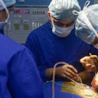 Dr Perry Lavi A