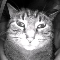 Rorschandt