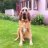 Charles_in_northern_of_Sweden