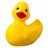 duckboxxer