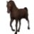 Pony Man