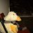 Da Ducky